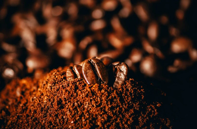 Coffee Powder