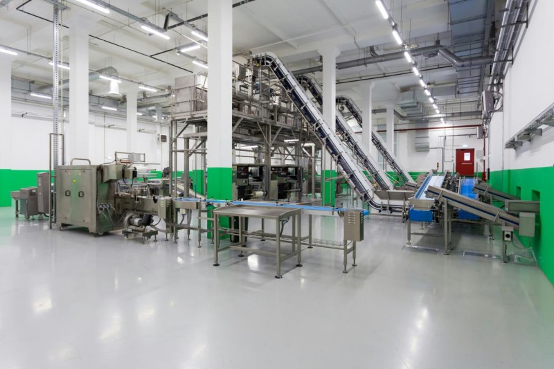 Next-Gen Automation: 5 Major Trends Transforming Food Processing Conveying Systems