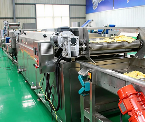 Complete Potato Chip Processing Solution