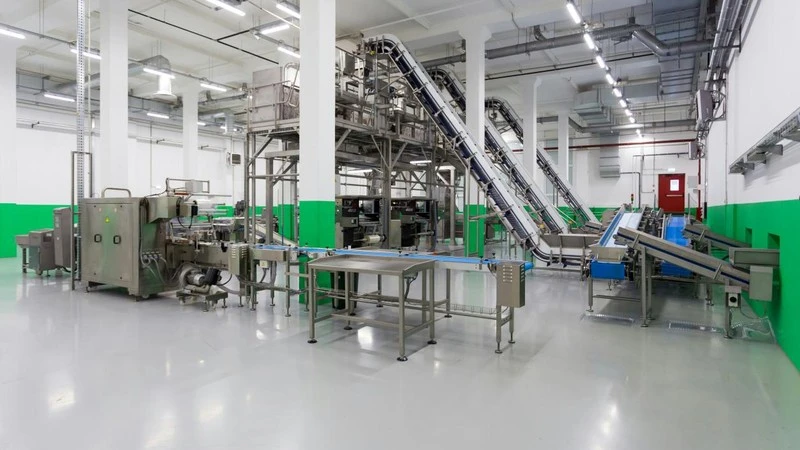 Next-Gen Automation: 5 Major Trends Transforming Food Processing Conveying Systems