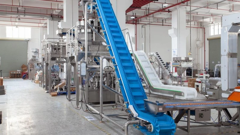 The 10 Most Common Questions Buyers Ask Before Investing in a Conveyor System
